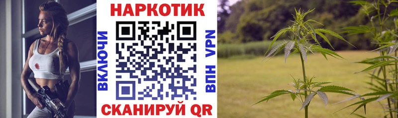 Наркота Славск Альфа ПВП  Меф  кракен ССЫЛКА  Кокаин  Каннабис  АМФ 