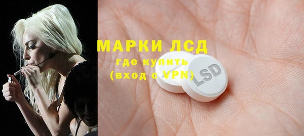 ГАЛЛЮЦИНОГЕННЫЕ ГРИБЫ Алзамай