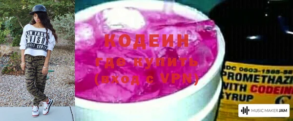 ГАЛЛЮЦИНОГЕННЫЕ ГРИБЫ Алзамай