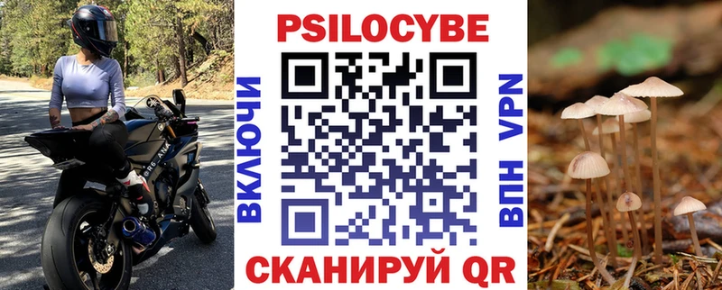 купить наркотики цена  Славск  Псилоцибиновые грибы мухоморы 